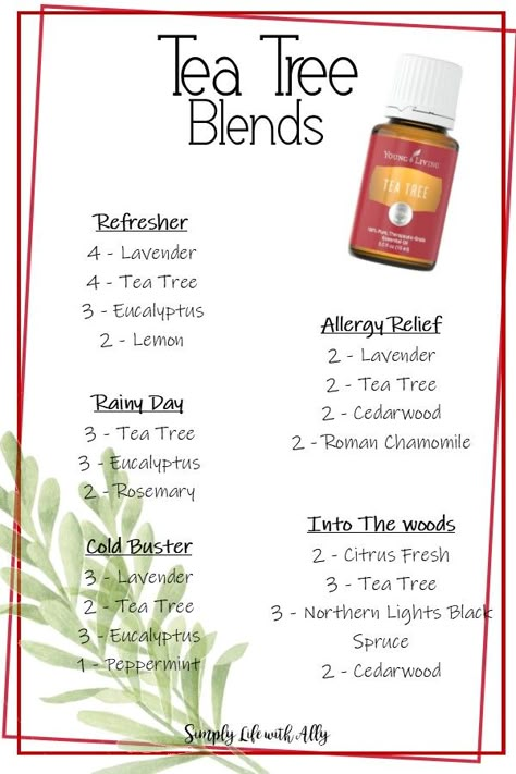 Doterra Tea Tree Diffuser Blends, Tea Tree Oil Uses Diffuser, Tea Tree Oil Blends Diffuser, Tea Tree Essential Oil Diffuser Blends, Tea Tree Essential Oil Blends, Tea Tree Oil Blends, Tea Tree Diffuser Blends, Tea Tree Blends, Tea Tree Essential Oil Uses