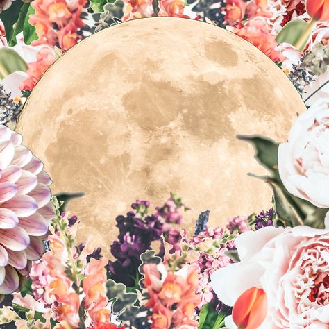 FULL MOON KUNDALINI, CACAO  INTENTION SETTING JOURNEY (ONLINE)  🌸🌕🌸  Join us on Thursday 7th May for our FLOWER MOON CEREMONY - sign up via link in bio.  🌸🌕🌸  Live from India, join us for a magical evening of guided meditation, kundalini postures, mantra, breath  incredible live music to celebrate the flower moon - the final supermoon of 2020.   🌸🌕🌸 Healing Circle, Moon Ceremony, Reiki Quotes, Moon Healing, Ceremony Sign, Flower Moon, Ceremony Signs, Intention Setting, Super Moon