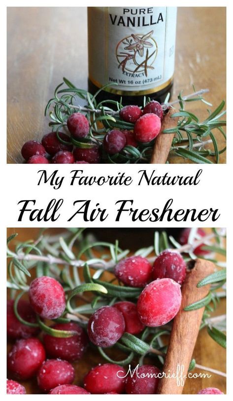 My Fall Natural Air Freshener.  For a fresh smelling home!  Made with natural ingredients, no chemicals!  #airfreshener #naturalairfreshener Small Crock Pot, Simmer Pot Recipes, Potpourri Recipes, Diy Air Freshener, Natural Air Freshener, Room Scents, Real Ingredients, Home Decor Gifts, Family Favorite Meals