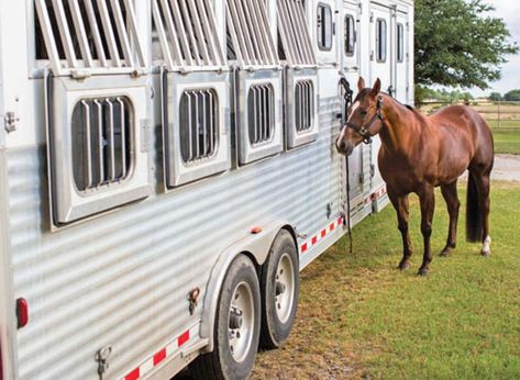 Horse Trailer Hacks, Horse Trailer Organization, Trailer Hacks, Horse Transport, Tack Rooms, Cowgirl Life, Equestrian Problems, Barrel Racing Horses, Natural Horsemanship