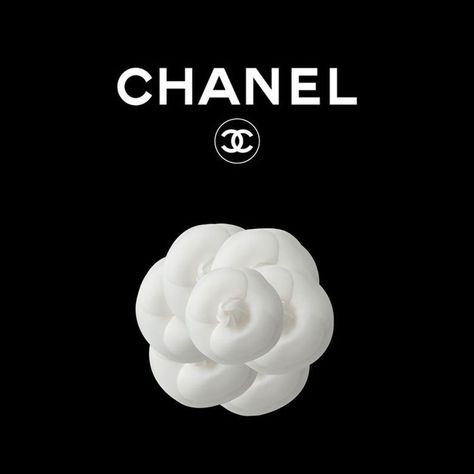 Chanel Aesthetic Logo, Fondos Apple Watch, Chanel Prints, Chanel Background, Camelia Chanel, Apple Watch Clock Faces, Coco Chanel Wallpaper, Chanel Wallpaper, Chanel Flower