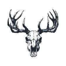 Antlers Reference, Elk Skull Tattoo, Deer Skull Tattoo, Skull Tattoo Ideas, Elk Skull, Deer Skull Tattoos, Deer Skull, Deer Skulls, Skull Tattoos