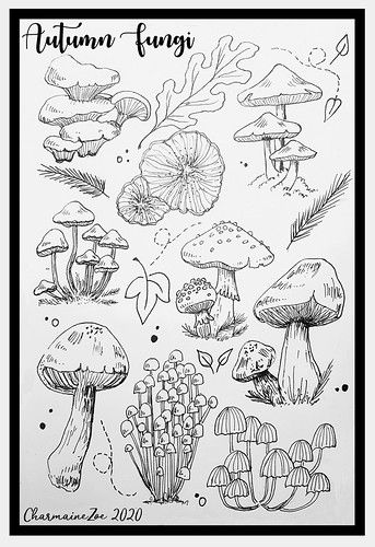 Autumn Fungi - Pen & Ink | CharmaineZoe's Marvelous Melange | Flickr Mushroom Designs, I Hope