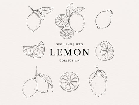 Simple Lemon Drawing, Lemon Line Art, Lemon Illustration Design, Lemon Line Drawing, Lemon Sketch, Lemon Illustration, Lemon Drawing, Art Abstrait Ligne, Black Line Art