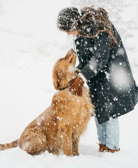 Golden Retriever Snow, Golden Retriever Photography, Dog Photography Poses, Snow Photography, Golden Life, Dog Photoshoot, Winter Mood, Pet Photos, Stay Golden