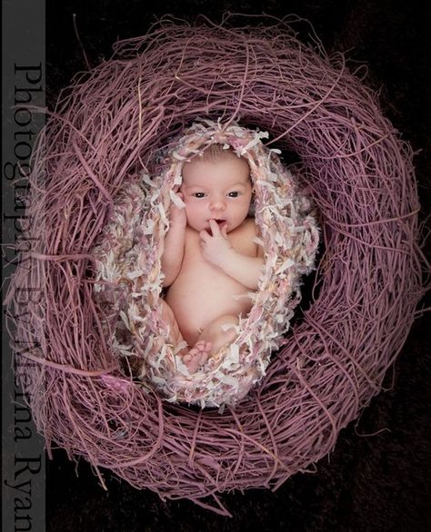 . Chunky Baby, Egg Bowl, Baby Cocoon, Baby Nest, Flamingo Pink, Childrens Photography, Newborn Photoshoot, Newborn Photo Props