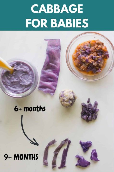 Serve cabbage to your baby with ease and confidence by using these cooking and serving tips and recipes. Purple Cabbage Recipes, Cabbage Head, Purple Cabbage, Red Cabbage, Vegetarian Paleo, Cabbage Recipes, Picky Eaters, Meal Time, Paleo Gluten Free