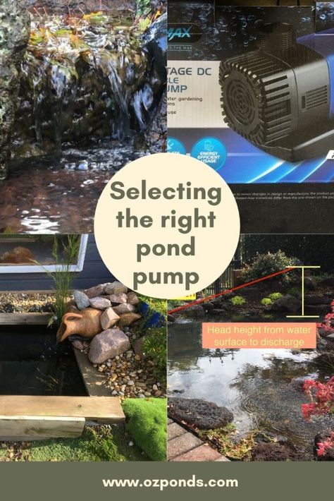 Water Pump For Fish Pond, Solar Waterfall Pump, Solar Pond Pump, Building Backyard, Pond Pumps And Filters, Pond Build, Pond Building, Ponds Ideas, Outdoor Electrical Outlet