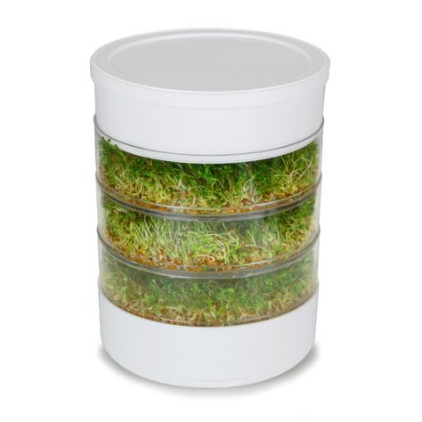 Make healthy organic sprouts in your kitchen with the help of Victorio 4-Tray Seed Sprouter. This growing kit makes use of surface tension to keep the right amount of water required for all growing stages. The kit includes organic alfalfa sprouting seeds, 4 growing trays, 1 water collection tray, 1 storage lid, and an instruction manual. All the trays featured in the sprouter are made from BPA-free plastic. It is sturdy, crack resistant, and long lasting. This white sprouter can be expanded to Seed Sprouter, Best Juicer, Sprouting Seeds, Starting Seeds Indoors, Compact Kitchen, Garden Guide, Garden Pests, Seed Starting, Kitchen Garden