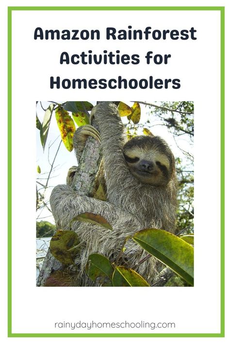 Fantastic fun and educational activities and crafts for homeschoolers to learn about the amazing ecosystem that is the Amazon Rainforest Rainforest Games, Rainforest Crafts, Biomes Project, Rainforest Project, Rainforest Activities, Rainforest Biome, What To Study, Geography Activities, Homeschool Lesson Plans