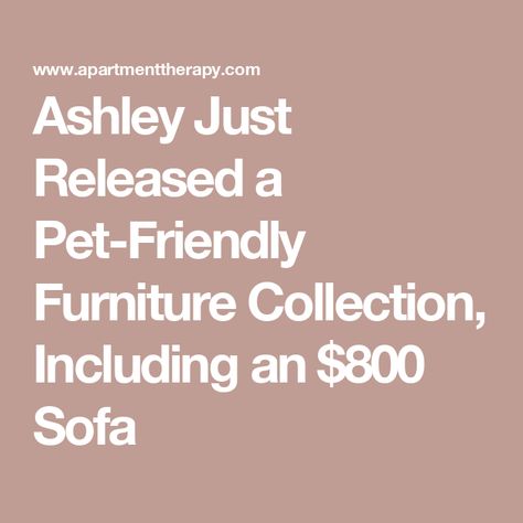 Ashley Just Released a Pet-Friendly Furniture Collection, Including an $800 Sofa Pet Friendly Sofa Fabric, Pet Friendly Living Room Furniture, Pet Friendly Couch Fabrics, Pet Friendly Furniture Living Rooms, Dog Friendly Furniture Living Rooms, Cat Friendly Couch, Pet Friendly Couches Living Room, Best Couches For Dog Owners, Dog Friendly Living Room