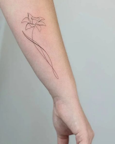 Tattoo Representing New Beginning, Tattoo Symbolizing Growth New Beginnings, Fine Line Narcissus Tattoo, Paperwhite Flower Tattoo, Tattoos New Beginnings, Line Daffodil Tattoo, Tattoos That Represent Growth New Beginnings, Fine Line Daffodil, Fine Line Daffodil Tattoo