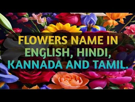 FLOWERS NAME IN ENGLISH, HINDI, KANNADA AND TAMIL || DIFFERENT TYPES OF FLOWERS || FLOWERS NAME || - YouTube Flowers Name In English, Flowers Name, Different Types Of Flowers, Flower Names, Different Flowers, Types Of Flowers, Different Types, To Learn, Education