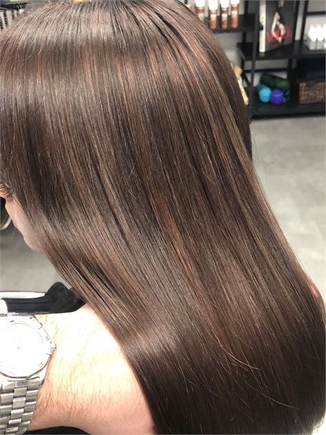 FORMULA: The Perfect Chestnut Brown - Hair Color - Modern Salon Goldwell Color Formulas Brown, Goldwell Color Formulas Blondes, Goldwell Color Formulas, Brown Hair Color Formulas, Goldwell Formulas, Brunette Formulas, Goldwell Hair Color, Chestnut Brown Hair Color, Hair Color Brown Chestnut