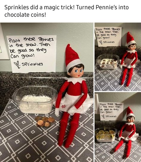 Funny Elf On The Shelf Ideas For Two Elves, Elf On The Shelf Chocolate Coin, Elf On The Shelf 5 Days Left, Elf On The Shelf Magic Trick, Elf Magic Trick, Elf 2023, Elf Stuff, Elf Ideas Easy, Shelf Elf