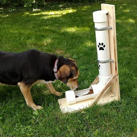 Diy Dog Feeder, Pet Feeder Diy, Automatic Dog Feeder, Pet Feeder Station, Cheap Landscaping, Waterfalls Backyard, Dog Feeder, Family Handyman, Pet Feeder