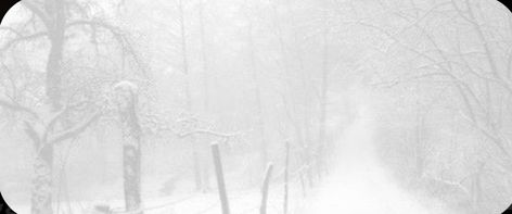 white snow discord banner Anime Snow Gif Banner, Snowy Banner Gif, Gif White Banner, Winter Banner Aesthetic, Winter Gif Aesthetic, Snow Banner Aesthetic, Winter Aesthetic Banner, Snow Gif Banner, Winter Banner Gif