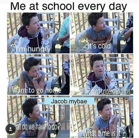 Everyday me Me At School, Teen Memes, Funny Pfp, My Bae, Jacob Sartorius, Soul Mates, Magcon Boys, School Memes, Relatable Post Funny