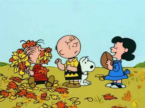 Charlie Brown Aesthetic, Peanuts Images, Peanuts Thanksgiving, Charlie Brown Wallpaper, Peanuts Wallpaper, It's The Great Pumpkin Charlie Brown, The Great Pumpkin Charlie Brown, Charlie Brown Thanksgiving, Great Pumpkin Charlie Brown