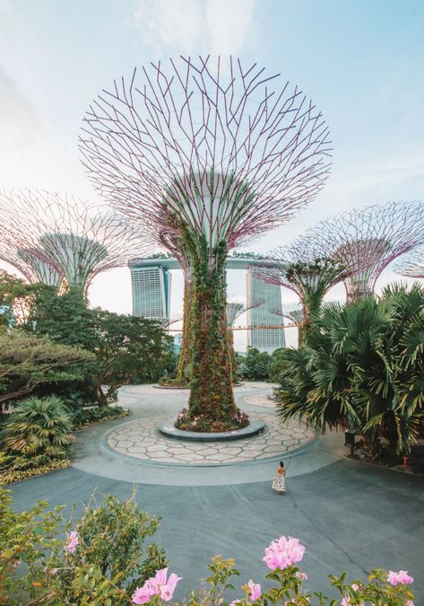 Check out the SuperTree Grove at Gardens by the bay - the most instagrammable place in Singapore! Supertree Grove, Singapore Itinerary, Things To Do In Singapore, Singapore Botanic Gardens, Singapore Zoo, Visit Singapore, Unique Restaurants, Gardens By The Bay, Instagrammable Places