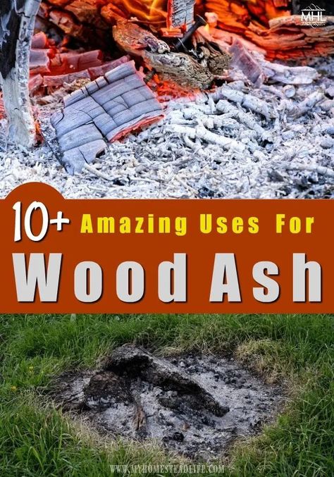 Off Grid Survival, Urban Homestead, Garden Wood, Wooden Things, Acid Loving Plants, Survival Skills Life Hacks, Fabric Dyeing, Wood Ash, Helpful Things