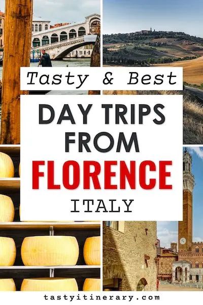 Traveling to Florence, Italy? Make sure to check out these tasty and amazing day trips from Florence that are a short distance away. These Florence day trips are easy to travel to on your own via train or car. Add these destinations and the delicious Italian eats we've included to your Italy travel itinerary. | tastyitinerary.com Florence Italy Itinerary, Day Trips From Florence Italy, Day Trips From Florence, Italy Travel Itinerary, Cruise Italy, Rome Vacation, Italy Girl, Italy Trip Planning, Florence Italy Travel