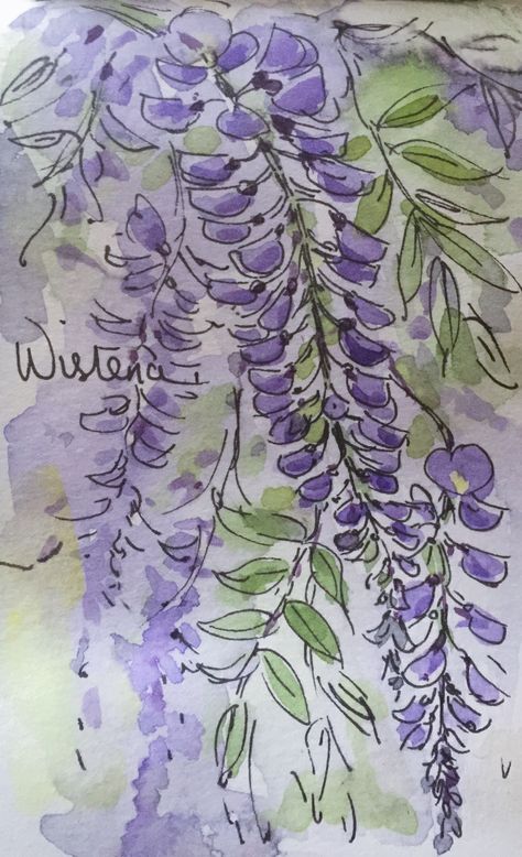 Painted Wisteria Flowers, Wisteria Drawing Tutorial, Wisteria Doodle, Wisteria Drawing Simple, Bridgerton Painting Ideas, Bridgerton Drawing Ideas, Wisteria Reference, Wisteria Tree Drawing, Wisteria Sketch