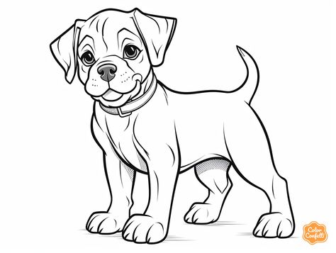 illustration of Boxer dog drawing for children Boxer Dog Drawing, White Boxer Puppies, Drawing For Children, Puppy Coloring Pages, White Boxers, Domestic Animals, Boxer Puppy, Dog Coloring Page, Printable Coloring Sheets