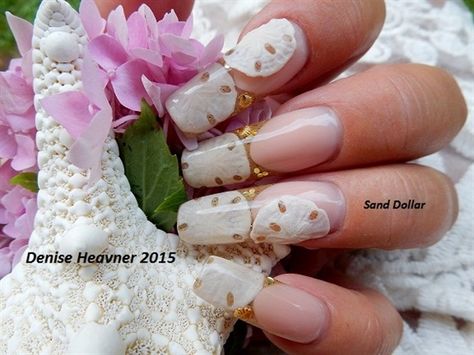 Day 213: Sand Dollar Nail Art - - NAILS Magazine Dollar Nails, Beauty Nails Design, Sand Dollars, Nails Gel, Nail Studio, Gel Nail Designs, Nail Art Galleries, Accent Nails, Beautiful Nail Art