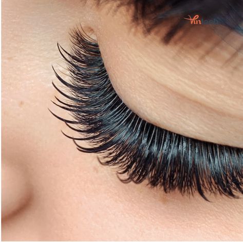 Elevate-your-lash-artistry-with-our-Spikes-Eyelash-Extensions-FM035 Lash Spikes, Wet Lash Look, Spike Lashes, Lash Sets, Wispy Lashes, Sensitive Eyes, For Lash, Strip Lashes, Natural Lashes