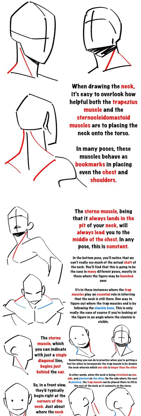 How To Draw The Neck, Turtleneck Reference Drawing, How To Draw Neck, How To Draw Necks, Neck Drawing, Anatomy Tutorial, Aerial Photos, Body Drawing Tutorial, Human Anatomy Art