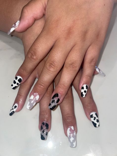 Cow print coffin acrylic nails Cow Print Coffin Acrylic Nails, Cute Nails Acrylic Coffin Cow Print, Almond Acrylic Nails Cow Print, Coffin Shape Cow Print Nails, Turquoise Nails Western Cow Print, Coffin Acrylics, Western Nails, Acrylic Nails Coffin, Cow Print