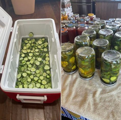 Mastering the Art of Crispy Dill Pickles: A Revelation in Every Bite Crispy Dill Pickle Recipe, Crispy Dill Pickles, Spicy Pickled Onions, Garden Vegetable Recipes, Homemade Nacho Cheese Sauce, Cucumber Chips, Dill Pickle Recipe, Homemade Nachos, Canned Food Storage