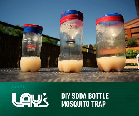 Mosquito Trap Diy, Bulb Diy, Tiny Yard, Prevent Mosquito Bites, Mosquito Traps, Diy Mosquito Repellent, Mosquito Trap, Kill Mosquitos, Diy Cans