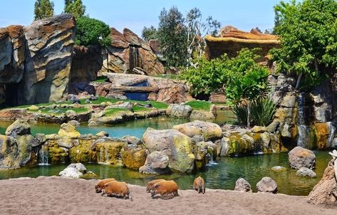 The Animals In This Spanish Zoo Roam Freely While Visitors Are Separated Through Natural Barriers Zoo Exhibit, Zoo Boo, Zoo Games, Zoo Map, Zoo Architecture, City Zoo, Zoo Park, Zoological Garden, Spanish Garden