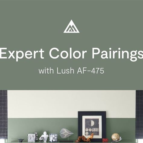 Benjamin Moore on Instagram: "Looking for a rich, comforting green to anchor your spring projects? The aptly-named Lush AF-475 has subtle blue undertones, evoking a tone similar to the rainforest after a strong summer rain. Whether paired with neutrals like Paper Mache AF-25 or Jute AF-80, or another green like Ashwood Moss 1484, Lush AF-475 plays well with many other colors, especially those in our Affinity® Color Collection. Swipe through to see our recommendations, and tell us in the comments Benjamin Moore Lush Af-475, Benjamin Moore Lush Paint Color, Lush Benjamin Moore, Benjamin Moore Lush, Ashwood Moss, Paint Colors Benjamin Moore, Benjamin Moore Paint, Spring Projects, Summer Rain