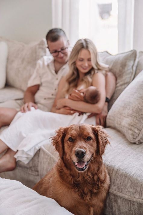 Dog Newborn Photography, Newborn Family Photos Dog, Newborn Home Photoshoot With Dog, In Home Newborn Session Lifestyle With Dog, Newborn Family Photos At Home With Dog, Lifestyle Newborn Photography With Dog, Newborn Pictures With Dogs, Dog And Baby Pictures, Newborn Photos With Dog