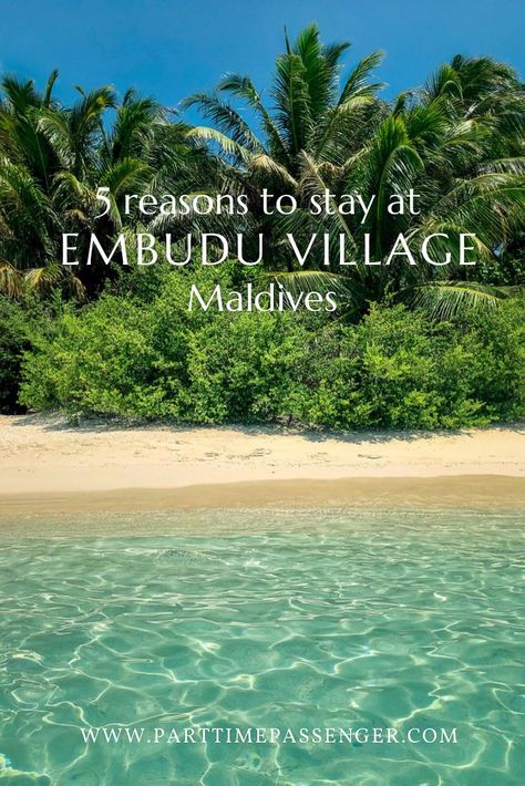 Looking for the best budget-friendly resort in the Maldives?Here are 5 reasons why you should consider staying at Embudu Village Maldives. #maldives #parttimepassenger #maldivestravel Maldives Budget, Male Maldives, Maldives Travel Guide, Diving School, Water Bungalow, Water Villa, Coral Garden, Maldives Travel, Couple Getaway