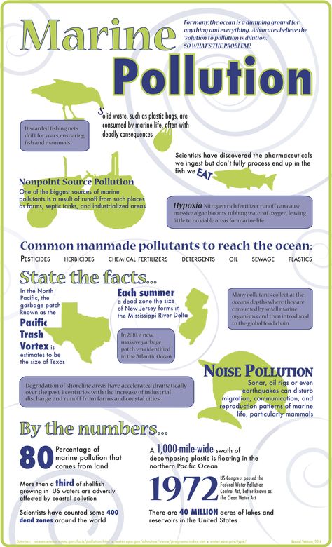 Each day pollutants enter our rivers and oceans that compromises the water and marine life. Take a look at the infographic that shows the maginitude of dumping pollutants in our oceans Octopus Facts, Animal Infographic, Mass Extinction, Ocean Octopus, Marine Science, Ocean Cleanup, Beach Clean Up, Dumping Ground, Marine Pollution