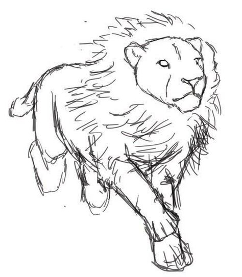 Lion running Sitting Lion Drawing, Running Lion Tattoo, Lion Running Drawing, Lion Running, Running Drawing, Manga References, Lion Walking, Mini Drawing, Running Illustration