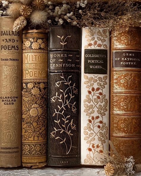 Light Academia Books, Victorian Literature, Library Aesthetic, Vintage Book Covers, Personal Aesthetic, Bookish Things, Gloomy Day, Golden Glow, Old Books