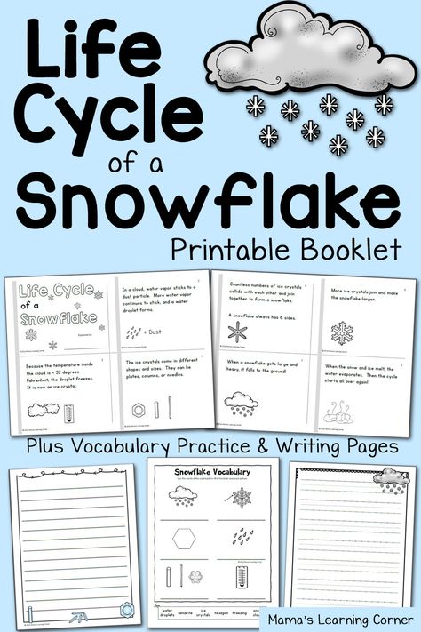 Snowflake Life Cycle Booklet and Vocabulary Practice - available in 2 versions! Life Cycle Of A Snowflake, January Classroom, Winter Science, Learning Corner, Weather Unit, 1st Grade Science, First Grade Science, Winter Classroom, Winter Activities For Kids