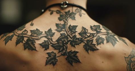 What is the significance of an ivy tattoo? 3 Vine Shoulder Tattoo Men, Black Ivy Tattoo, Ivy Branch Tattoo, Ivy Tattoo Shoulder, Ivy Back Tattoo, English Ivy Tattoo, Dark Green Tattoo, Ivy Tattoos, Poison Ivy Tattoo