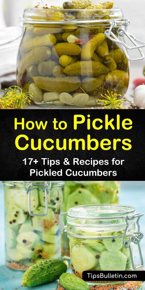 Jalapeno Pickles, How To Pickle Cucumbers, Pickle Cucumbers, Canning Pickles Recipe, Pickle Recipes Homemade, Dill Pickle Recipe, Pickled Cucumbers, Canning Pickles, Canning Vegetables