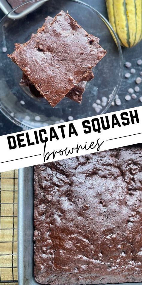 You may have heard of zucchini brownies but what about delicata squash brownies? This hidden veggie brownie recipe has a super dark chocolately taste that's not overly sweet, and it's a great way to sneak veggies into your diet. A perfect Weight Watchers dessert that is only 4 points on each Weight Watchers plan and 140 calories. #brownies #ww #weightwatchers Squash Brownies, Weight Watchers Dessert, Weight Watcher Cookies, My Bizzy Kitchen, Delicata Squash Recipe, Eating Veggies, Weight Watchers Plan, Healthy Flour, Homemade Truffles