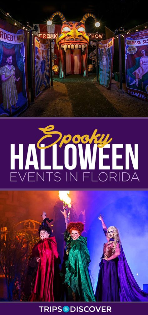 Halloween In Florida, Florida Halloween, Halloween Things To Do, Florida Honeymoon, Halloween Date, Kid Friendly Halloween, Halloween Events, Florida Life, Trick Or Treaters