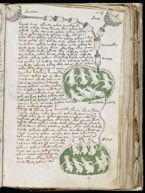 Voynich Manuscript, Ancient Writing, Occult Books, Illuminated Manuscript, Old Books, Colorful Drawings, Rare Books, Book Lovers, Book Art