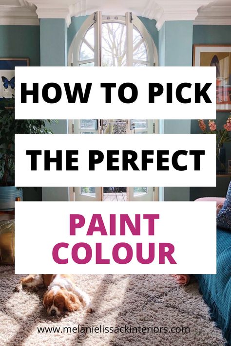 What Colour To Paint Living Room, Using Colour In The Home, How To Paint A Living Room, How To Pick Paint Colors For Home, Kitchen And Living Room Combo Apartment, Kitchen And Living Room Combo Colors, Kitchen And Living Room Combo, Sink Ideas Kitchen, Kitchen Living Room Combo