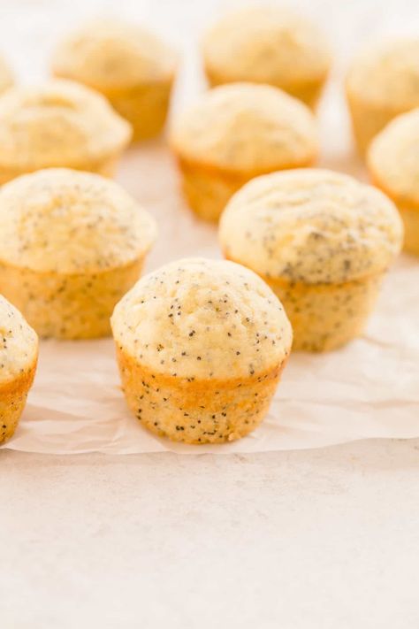 Lemon Poppyseed Mini Muffins, Mini Baked Goods Ideas, Popover Recipes, Almond Poppy Seed Muffins, Almond Poppyseed Muffins, Seed Loaf, Mini Muffin Recipe, Toddler Muffins, Poppyseed Muffins