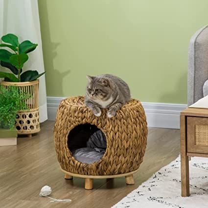 Cat House Stool for Rest, Rattan Kitten Bed for Indoor and Outdoor Use, Elevated Pet Bed with Soft Washable Cushion 44 x 43 x 41 cm Hobby Activities, Wicker Cat Bed, Grass Material, Kitten Bed, Hall Console, Kitten Beds, Bed Stool, Crate Mat, Cat Basket